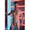 Breedwell Harnais Locker Room Gris